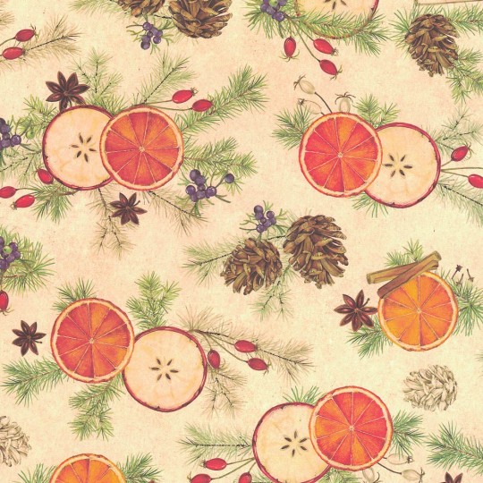 Fruit Slices and Spices Christmas Print Paper ~ Tassotti Italy